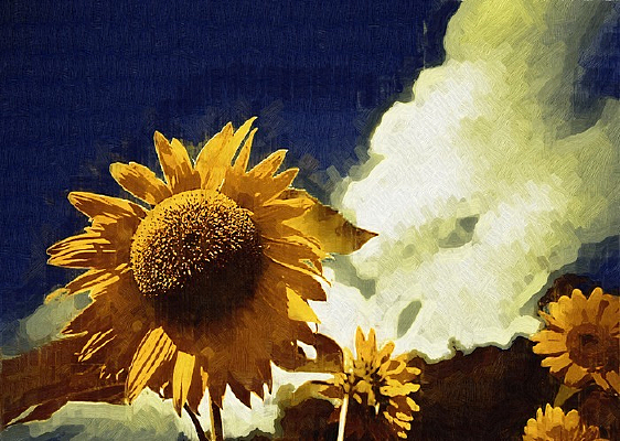 ��̫����