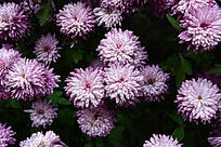 С����С����