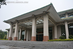 �����鵺����