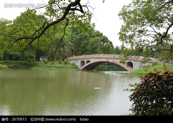 华南植物园拱桥