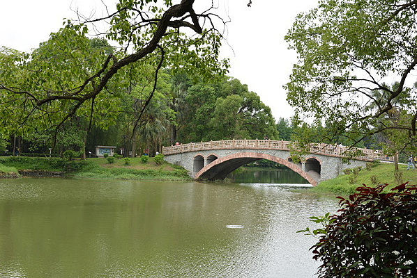 ����ֲ��԰����