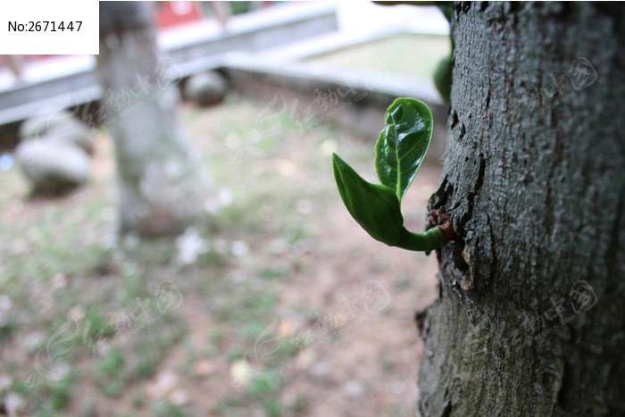 ����ϣ��ͼƬ