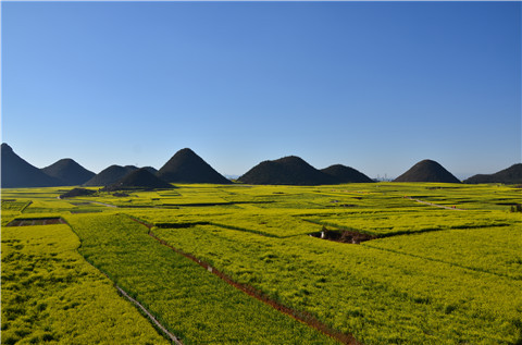 �Ͳ˻���Ӳӽ�Ӳ�