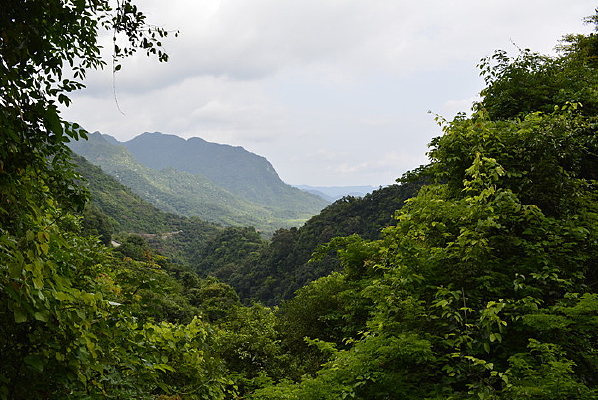 ɽ������