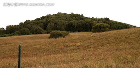 ������ɽ��