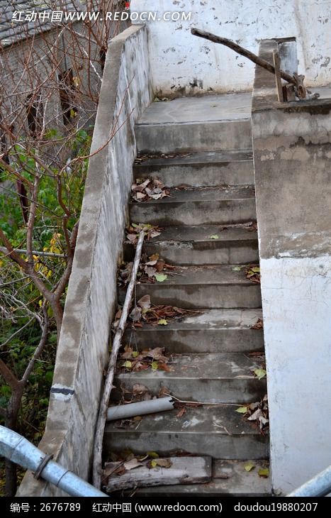 ��Ҷ�����¥��ͼƬ