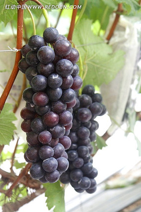 �������ϵ���ɫ����