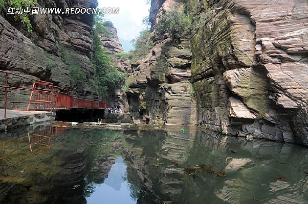 ����Ͽ��