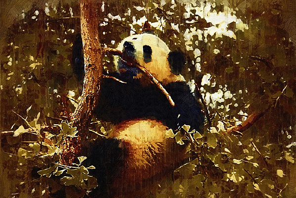 ���ϵ���è