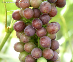 ˮ��������