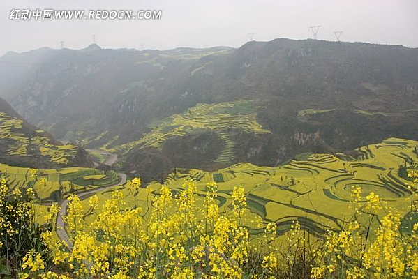 �Ͳ˻�����ɽ��