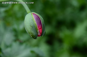 ��������õ��