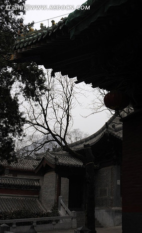 ������Ժ