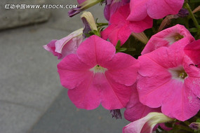 �޸���»��