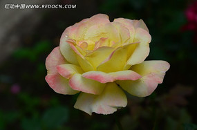 һ���������¼���