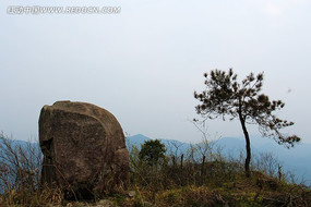 ɽ��������