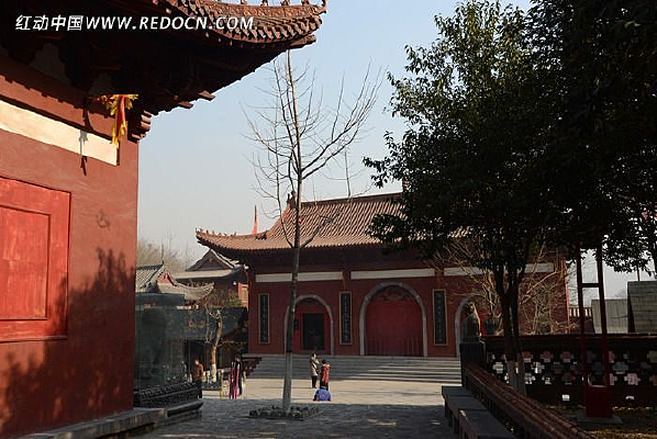 ��ɲ������