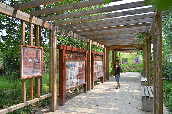 չ������