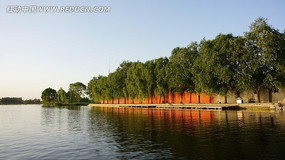 ������羰