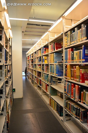 ͼ������