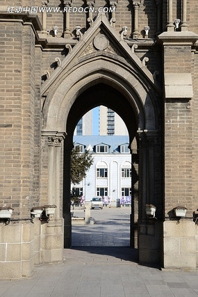 �����Ŷ�