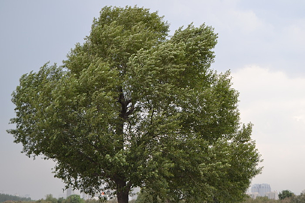 ҡҷ�Ĵ�����