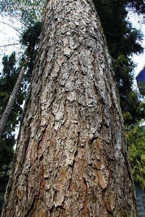 һ�ô�����