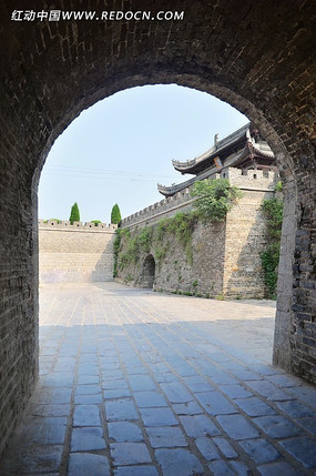 �������عų�