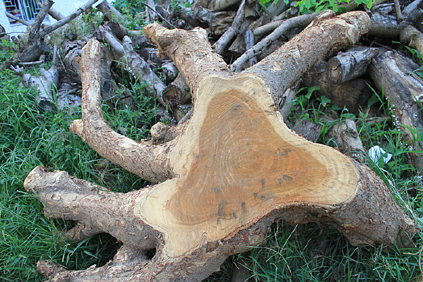 �������״