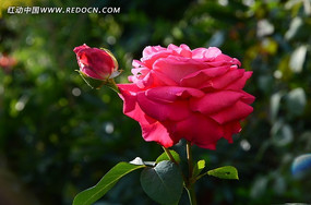 �����¼�