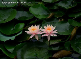 ����һ��Ļ�