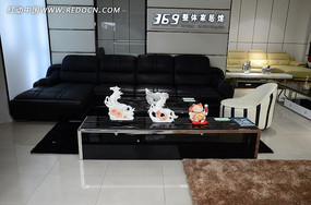 ��Ƥɳ���Ҿ�