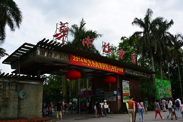 ����ֲ��԰���