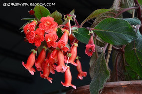 ����зצ��