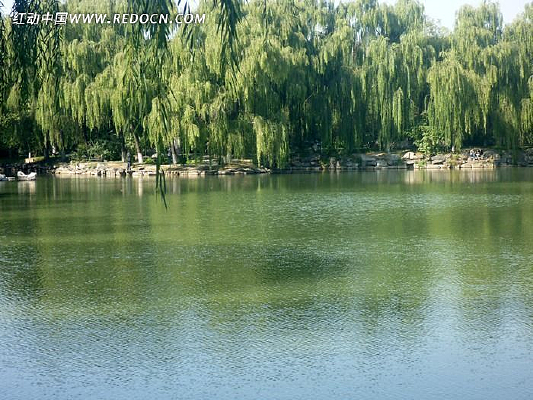 �����ĺ���