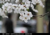 ӣ