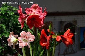 ����ˮ�ɻ�