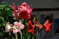 ����ˮ�ɻ�