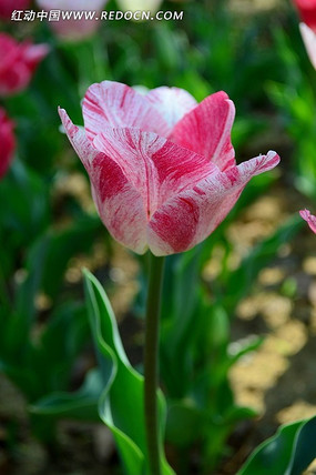 ���д���