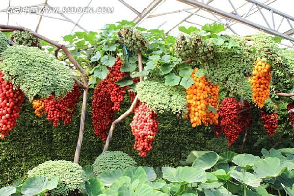 �˲�������