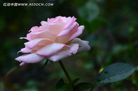 �����¼�