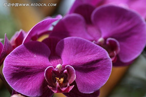 ̨��������