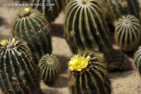 �ƻ�������