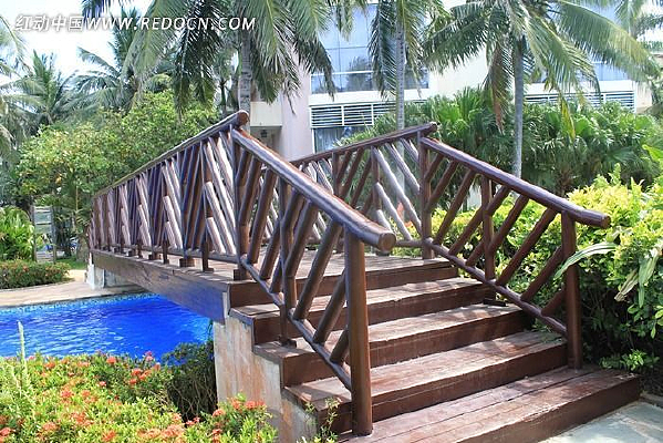 ˮ�ϵ�Сľ��