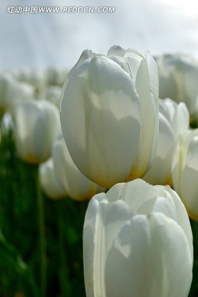 �׺�����