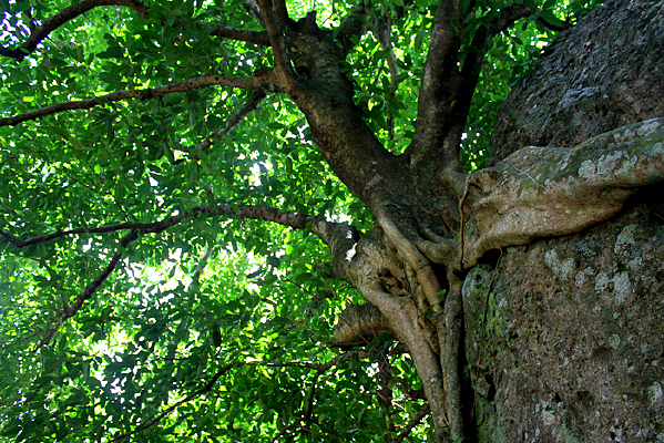 ���ط����Ĵ���