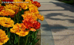 �����������Ļ���