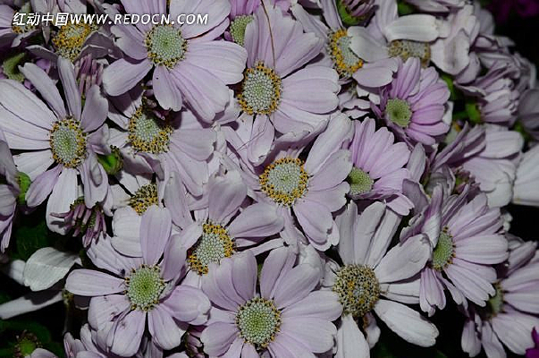 ���޾��ʻ�