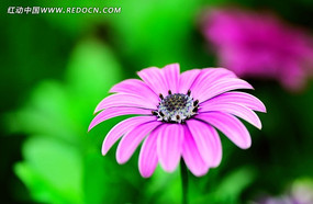 ʢ����Ұ�ջ�