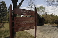 ���α�־��